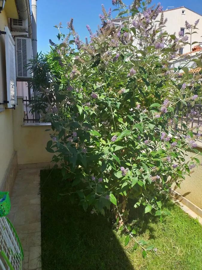 Apartman Vida Pula 0*,  Croatie